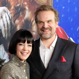 Lily Allen cut short theatre trip to get intimate with David Harbour