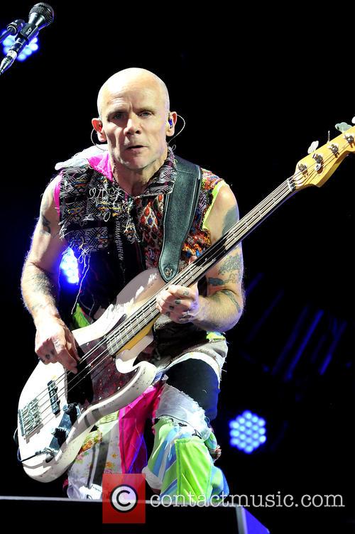 Flea
