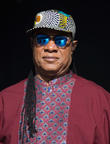 Stevie Wonder