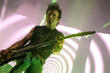 The Cure and Simon Gallup